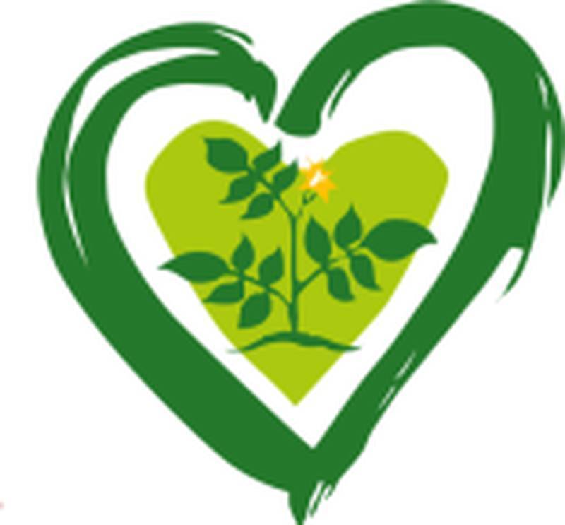 Logo fehlt!